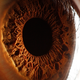 Illustration for article titled Extreme close-ups of human eyes look like craters on Mars